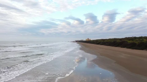 Fying on the shore Stock Footage 117155723