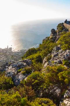 Fynbos vegetation at the top of table mountain 1 Stock Photos