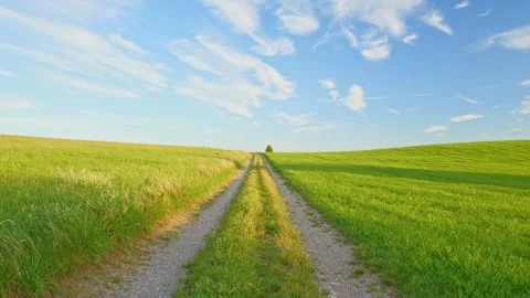 G the Essence of Spring in a Timelapse of a Green Meadow with a Peaceful Fiel Stock Footage 309186473