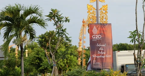 G20 Indonesia Bali summit printed small billboard with palm and road background Stock Footage 220904014