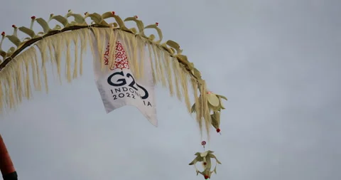 G20 summit logo flag on a penjor and gray sky background fluttering in the wind Stock Footage 220904051