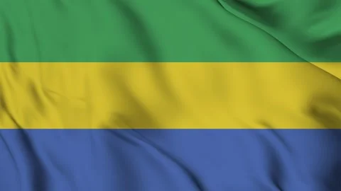 Gabon flag animation for background in 4k. Stock Footage 250368182