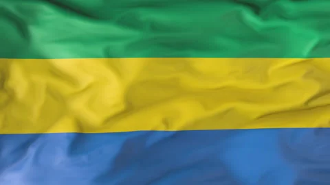 The Gabon Flag Flutters in the Wind. Animation 3d 動画素材 202050142