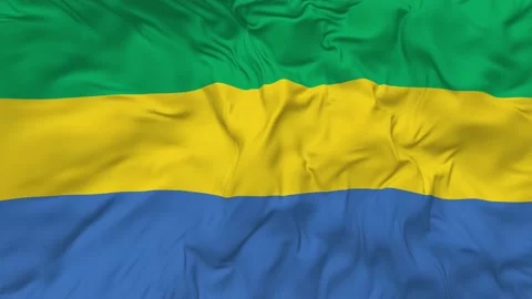 Gabon Flag Seamless Looping Background Waving Slow Motion Stock Footage 233818336
