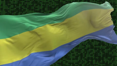 Gabon flag - Waving flag on matrix binary code background Stock Footage 321421170