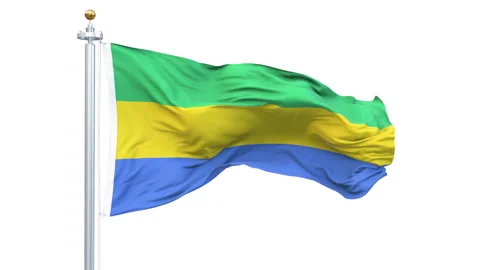 Gabon flag waving looping with transparent background. Video stock 313593749