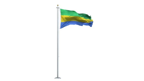 Gabon flag waving looping with transparent background. Video stock 313593787