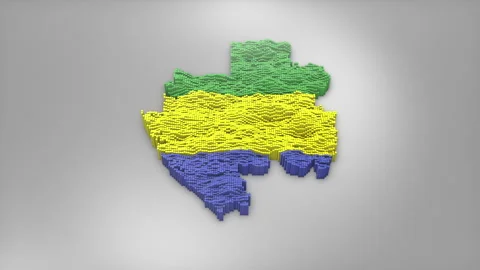 Gabon Map with Flag Intro Background Stock Footage 315163123