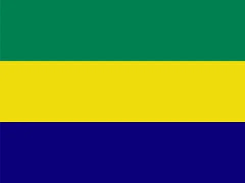 Gabon national flag vector graphics design Stock Illustration
