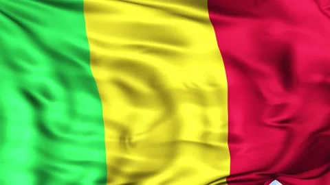 Gabon Waving Flag Background Video stock 204133620
