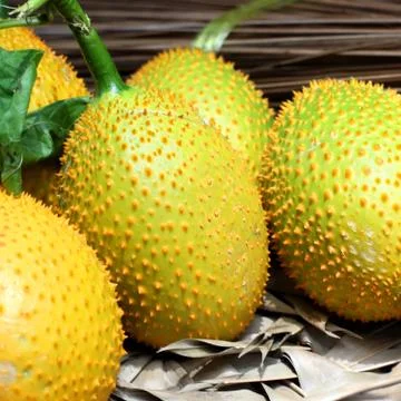 Gac fruit Stock Photos