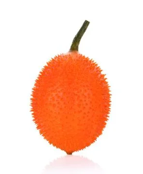 Gac on white background Foto stock