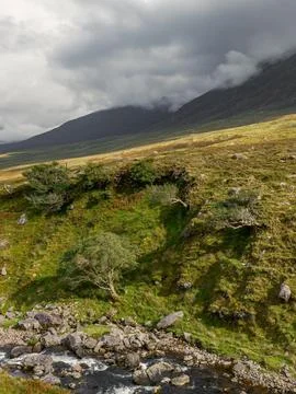 The Gaddagh River flows gently through the lush green countryside Stock Photos