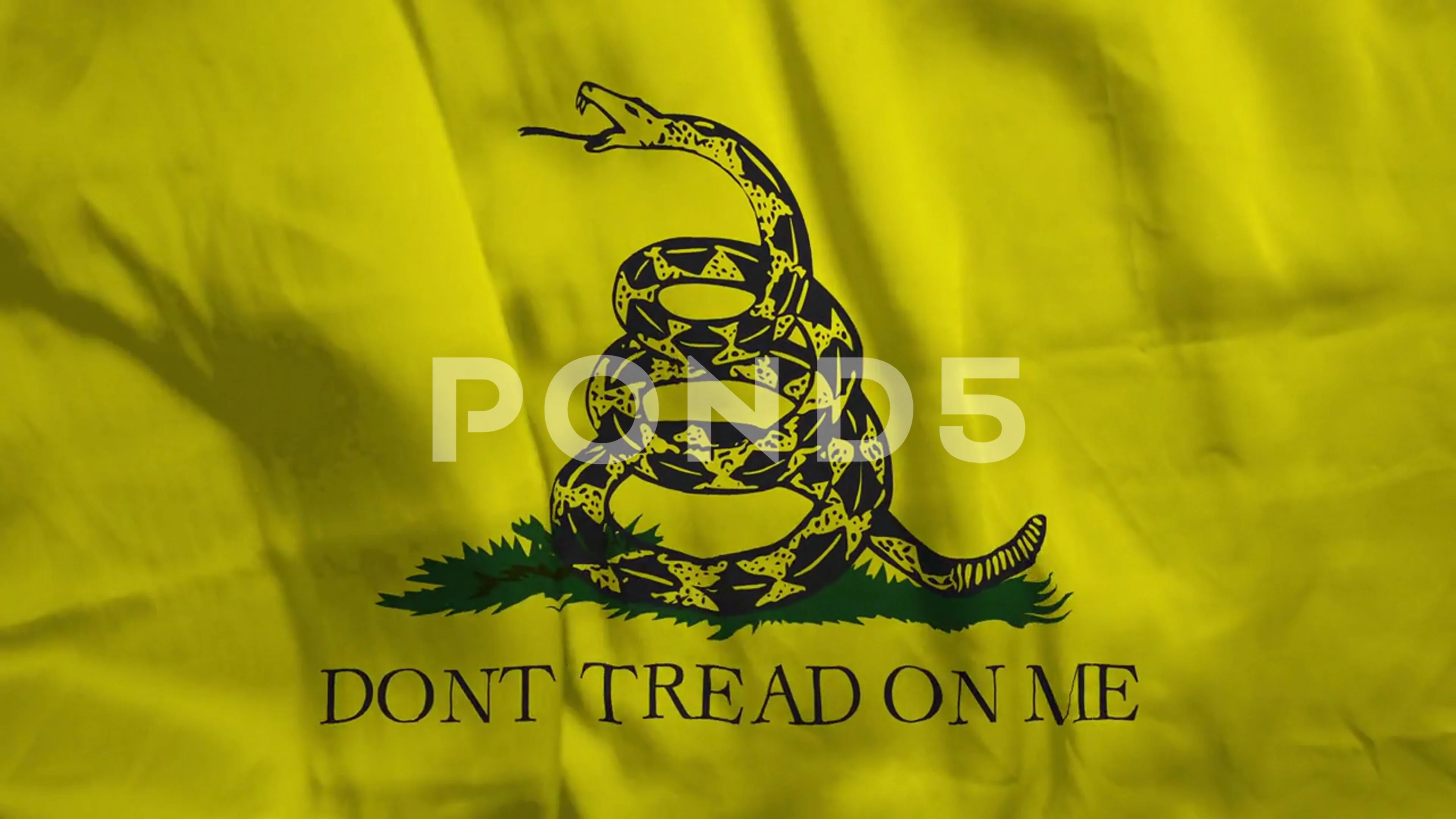Gadsden Flag Stock Footage ~ Royalty Free Stock Videos | Pond5
