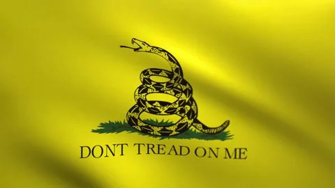 Gadsden Flag Waving Loop 4K – Historical American Flag Animation Vídeos de archivo 336017373