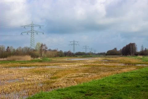 Gagelpoder on a spring day with electrical transportmast Stock Photos