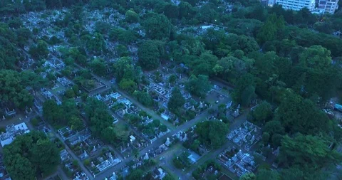 Gaienmai1 스톡 동영상 100890209