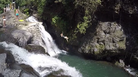 Gainer in Bali, Indonesia Stock Footage 146103177
