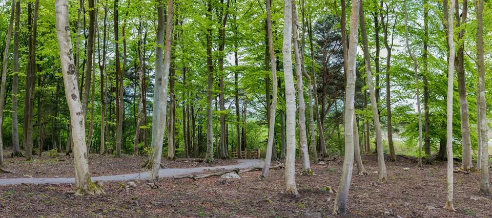 Gait Barrows panorama Stock Photos