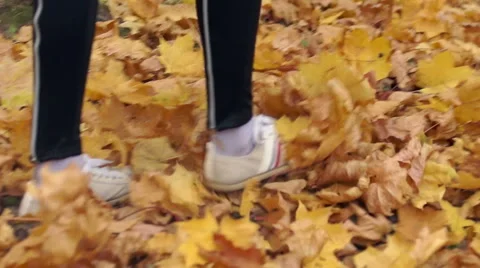 Gait on the leaves Video stock 43749908