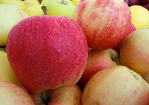 Gala apples Stock Photos