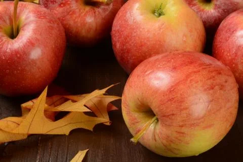 Gala apples Stock Photos