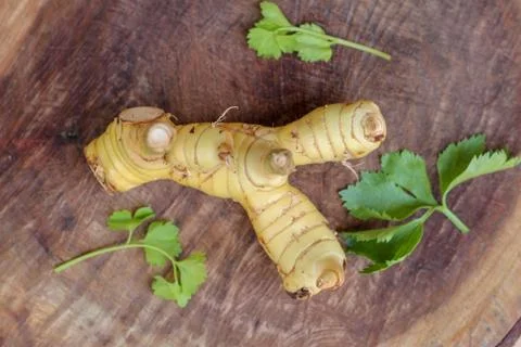 Galanga with Celery leaf Stock Photos