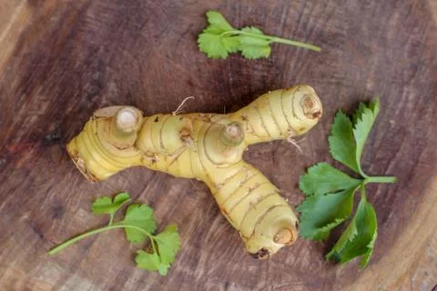 Galanga with Celery leaf Stock Photos
