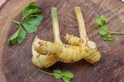 Galanga with Celery leaf Stock Photos