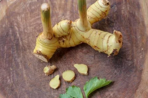 Galangal cut into thin strips with celery leaves. Stock Photos