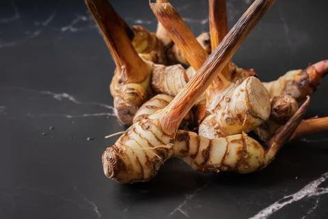 Galangal with dark background Stock Photos