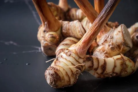 Galangal with dark background Stock Photos