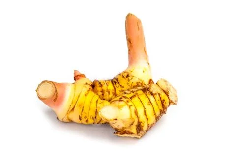 Galangal isolate Stock Photos