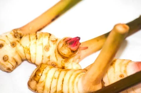 Galangal Stock Photos