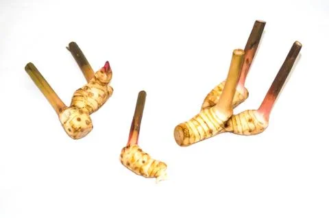 Galangal Stock Photos