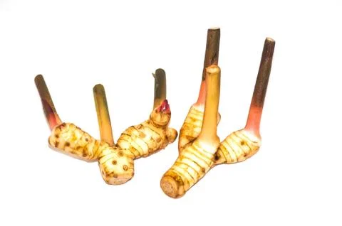 Galangal Stock Photos