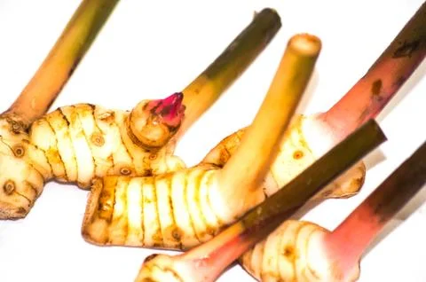 Galangal Foto stock