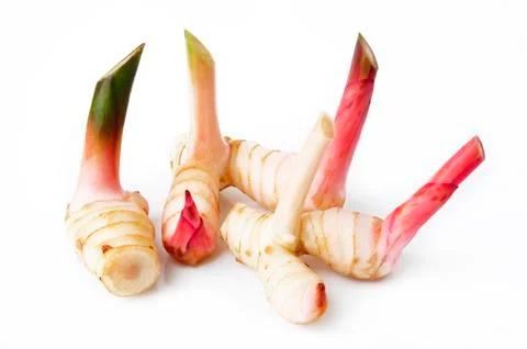 Galangal Stock Photos