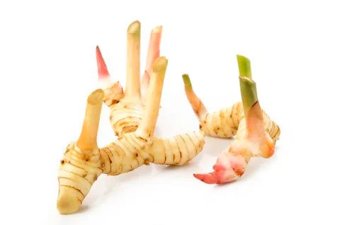 Galangal Stock Photos