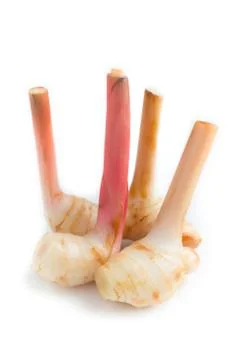 Galangal Stock Photos