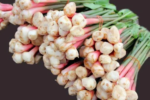 Galangal Stock Photos