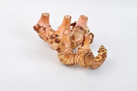 Galangal Stock Photos