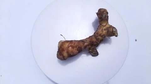 The galangal placed on the rotating display Stock-Footage 246631845