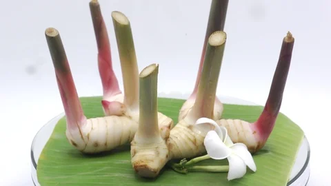 Galangal rotating on white background Stock Footage 124901376