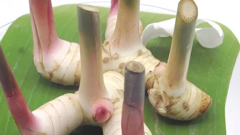 Galangal rotating on white background Stock Footage 124901405