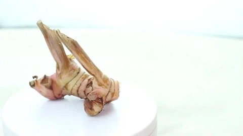 Galangal on a rotating white display stand Stock Footage 274668170