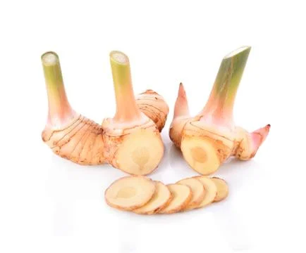 Galangal on white background Stock Photos
