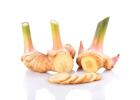 Galangal on white background Stock Photos