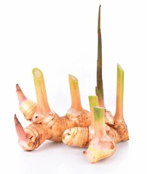 Galangal on white background Foto stock