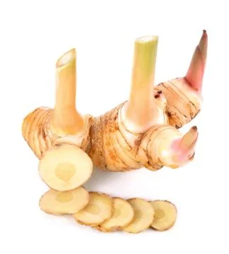 Galangal on white background Stock Photos